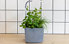 Умный сад Tregren T3 Kitchen Garden (Grey) купить в интернет-магазине icover
