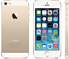 Apple iPhone 5S 16Gb Gold (FF354RU/A) - восстановленный купить в интернет-магазине icover