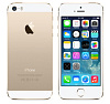 Apple iPhone 5S 32Gb Gold (ME437RU/A) LTE купить в интернет-магазине icover