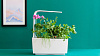 Умный сад Tregren T6 Kitchen Garden (White) купить в интернет-магазине icover
