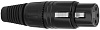 Wireworld Equinox 7 Balanced Audio Interconnect 0.5m (QBI0.5M-7) - акустический кабель XLR-XLR купить в интернет-магазине icover