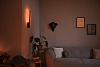 Светильник Philips Hue Liane 8718696169674 (Black) купить в интернет-магазине icover