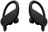 Bluetooth-наушники с микрофоном Beats Powerbeats Pro MV6Y2EE/A (Black) купить в интернет-магазине icover
