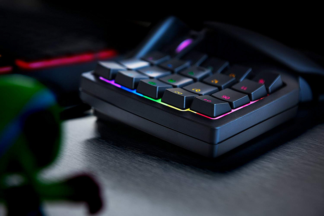 Игровая клавиатура Razer Tartarus V2 RZ07-02270100-R3M1 (Black) купить в интернет-магазине icover