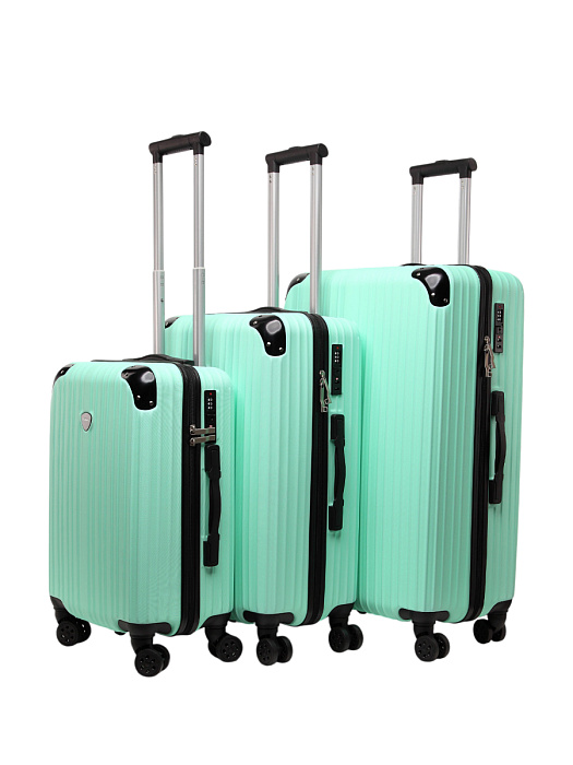 Чемодан Ridberg Sintera (Mint) размер M купить в интернет-магазине icover
