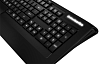 SteelSeries Apex [RAW] Gaming Keyboard Black USB- игровая клавиатура купить в интернет-магазине icover