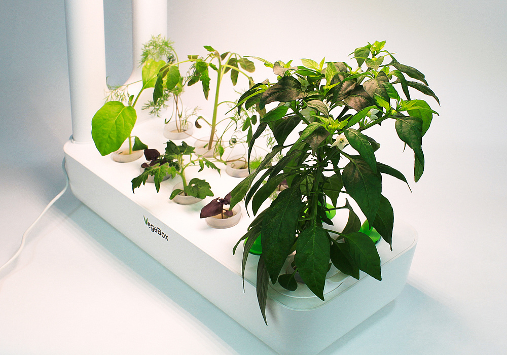 Настольная ферма VegeBox K-Box (White) купить в интернет-магазине icover