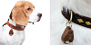 Sititek TickLess Pet (56073) - отпугиватель клещей для домашних животных купить в интернет-магазине icover