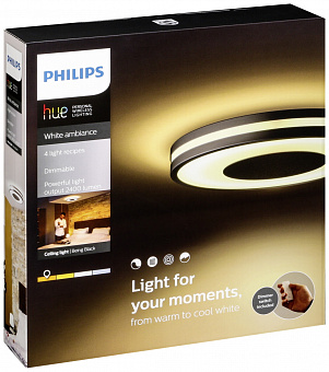 Потолочная светодиодная лампа Philips Being HUE (19192)