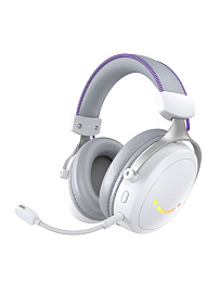 Беспроводная игровая гарнитура Fifine HT6 Gaming Headsets (White) купить в интернет-магазине icover