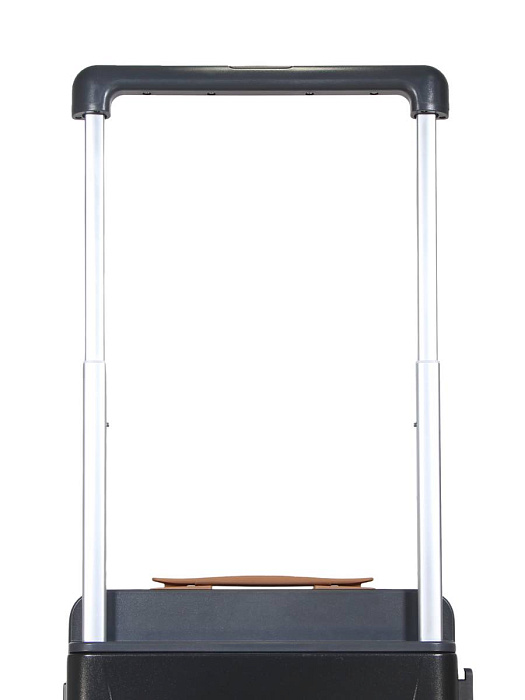 Чемодан Ridberg Aristo (Noir) размер M купить в интернет-магазине icover