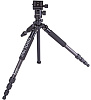 Dolica Proline Carbon Fiber Tripod (ZX600B103) - штатив для фотокамер  купить в интернет-магазине icover