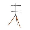 Стойка для телевизора с кронштейном Ridberg TV Floor Stand FS12-46F (Black) купить в интернет-магазине icover