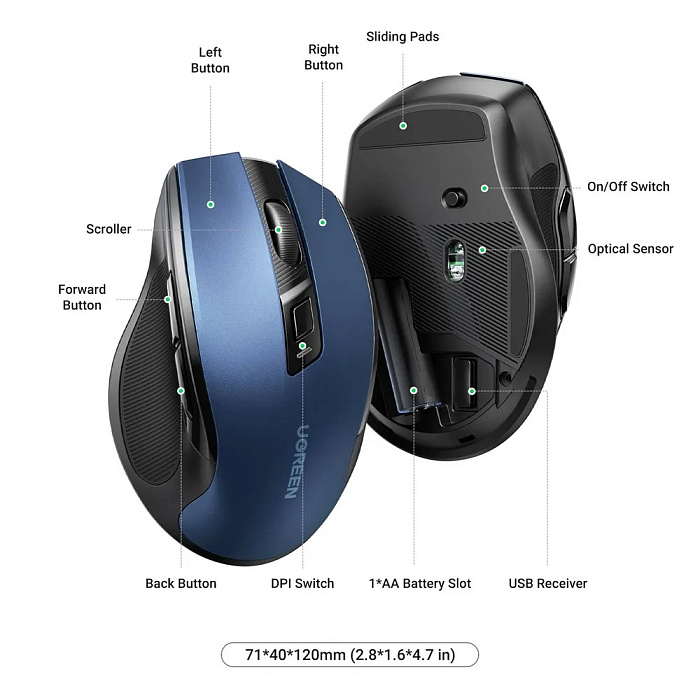 Беспроводная мышь Ugreen MU006 (15064) Ergonomic Wireless Mouse (Blue) купить в интернет-магазине icover
