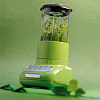 Стационарный блендер KitchenAid Artisan 5KSB5553EGA (Green apple) купить в интернет-магазине icover