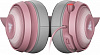 Игровая гарнитура Razer Kraken Kitty Edition RZ04-02980200-R3M1 (Quartz) купить в интернет-магазине icover