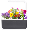 Умный сад Click & Grow Smart Garden 3 Цветы (Graphite) купить в интернет-магазине icover