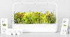 Умный сад Click & Grow Smart Garden 9 (White) купить в интернет-магазине icover