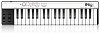 USB-контроллер IK Multimedia iRig Keys - MIDI купить в интернет-магазине icover