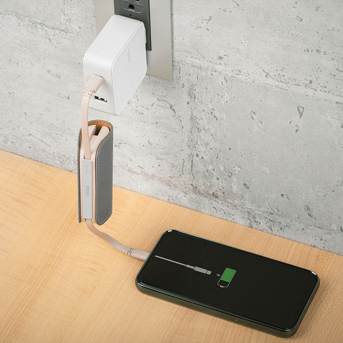 Внешний аккумулятор Moshi IonGo 5K (99MO022024) USB-A/Lightning (Fossil Gray) купить в интернет-магазине icover