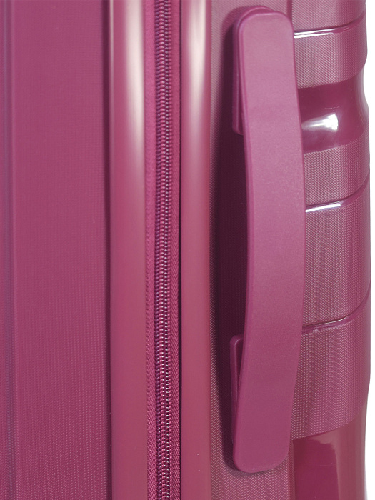 Чемодан Ridberg ICON (Burgundy) размер S купить в интернет-магазине icover