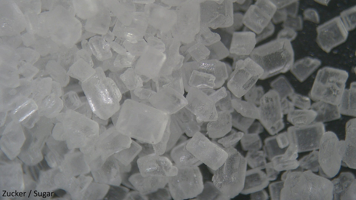 National Geographic Microscop Stereo 20x (9119000) - цифровой микроскоп (Black/Yellow) купить в интернет-магазине icover