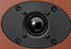 Denon SC-M40 Wood - полочная акустическая система (Cherry)   купить в интернет-магазине icover