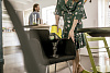 Пылесос вертикальный Karcher VC 6 Cordless our Family LE (1.198-662.0) купить в интернет-магазине icover