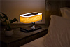 Умный светильник HomeTree Light Of the Tree с беспроводной зарядкой и колонкой (YT-M1602-B2) купить в интернет-магазине icover