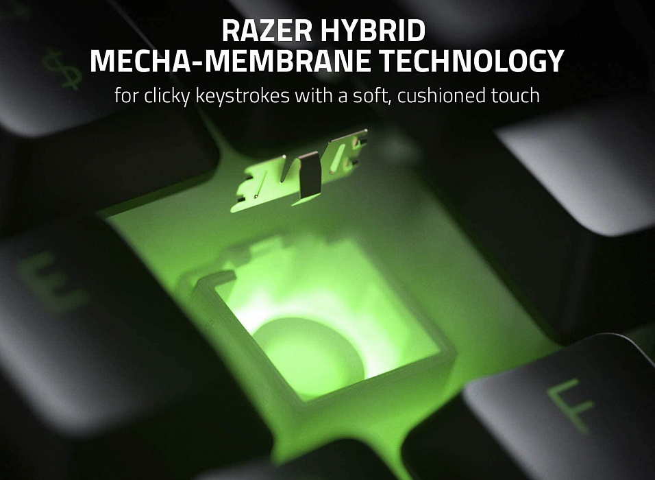 Игровая клавиатура Razer Ornata V2 RZ03-03380700-R3R1 (Black) купить в интернет-магазине icover