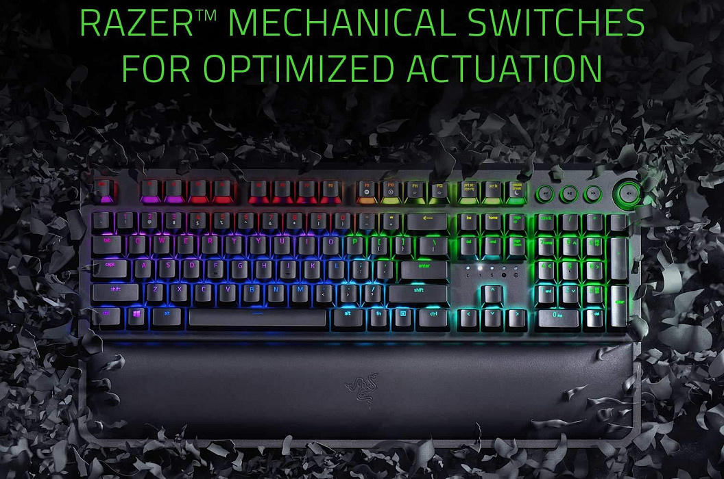 Игровая клавиатура Razer BlackWidow Elite Green Switch RZ03-02621100-R3R1 (Black) купить в интернет-магазине icover