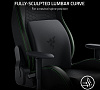 Поясничная подушка Razer Lumbar Cushion RC81-03830101-R3M1 (Black) купить в интернет-магазине icover