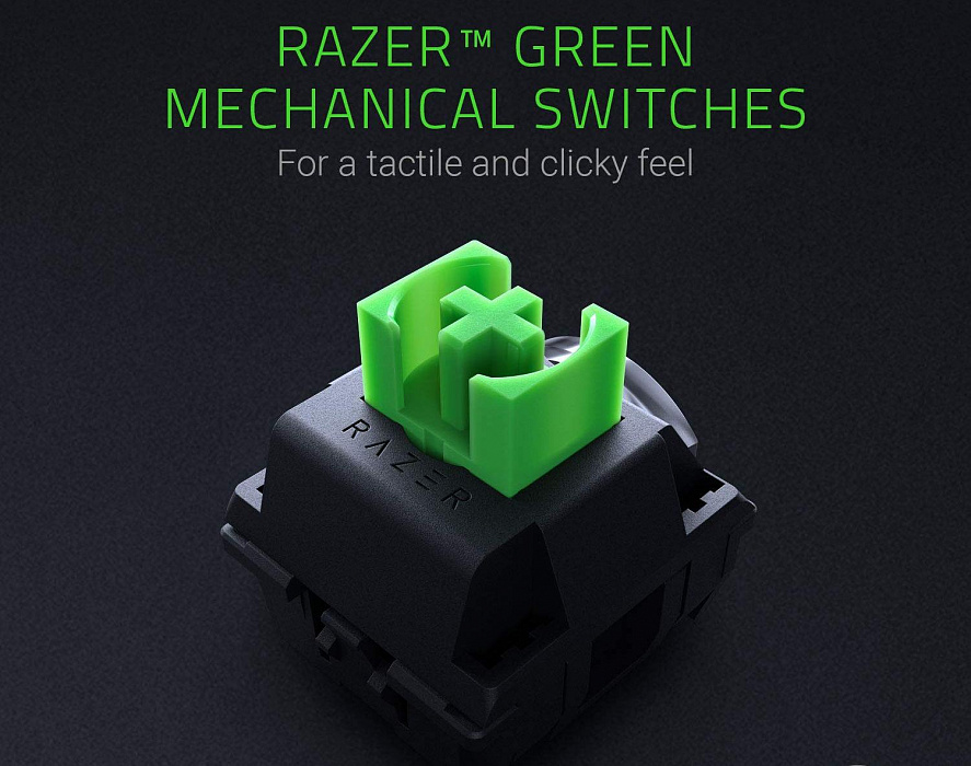 Игровая клавиатура Razer BlackWidow 2019 Green Switch RZ03-02861100-R3R1 (Black) купить в интернет-магазине icover