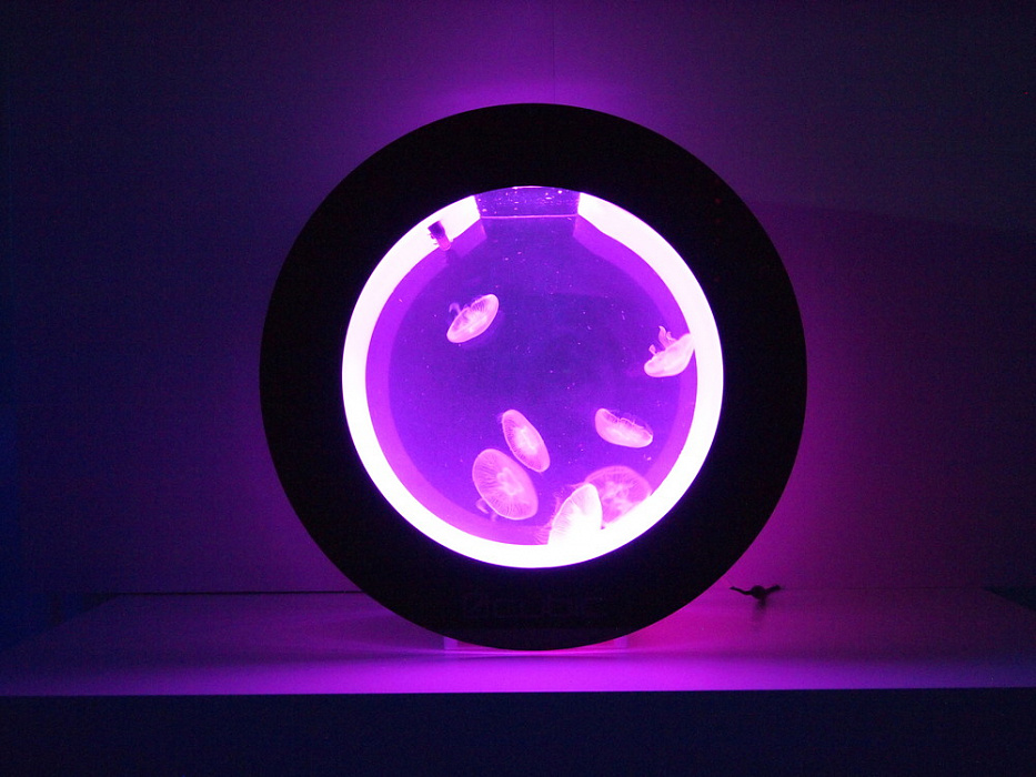 Аквариум для медуз Cubic Aquarium Systems Orbit 20 (Black) купить в интернет-магазине icover