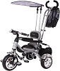 Capella Racer Trike Grand (GL000021180) - детский велосипед (Silver) купить в интернет-магазине icover