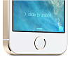 Apple iPhone 5S 16Gb Space Gray (ME432RU/A) LTE купить в интернет-магазине icover