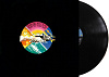 Виниловая пластинка Pink Floyd - Wish You Were Here (1975) купить в интернет-магазине icover