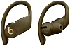 Bluetooth-наушники с микрофоном Beats Powerbeats Pro MV712EE/A (Moss) купить в интернет-магазине icover