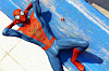 The Amazing Spider-Man 2 - видеоигра для PS4 (Русская документация) купить в интернет-магазине icover