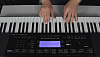 Casio CTK-4400 - синтезатор (Black) купить в интернет-магазине icover