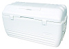 Изотермический контейнер Igloo MaxCold 165 44419 (White) купить в интернет-магазине icover