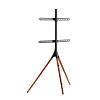 Стойка для телевизора с кронштейном Ridberg TV Floor Stand FS12-46F (Black) купить в интернет-магазине icover