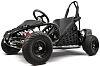 Novelty Electronics Kart 1000W 48V/12Ah (Lead acid) - багги электрический детский (Black) купить в интернет-магазине icover