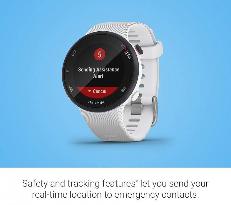 Спортивные часы Garmin Forerunner 45S 010-02156-10 (White) купить в интернет-магазине icover