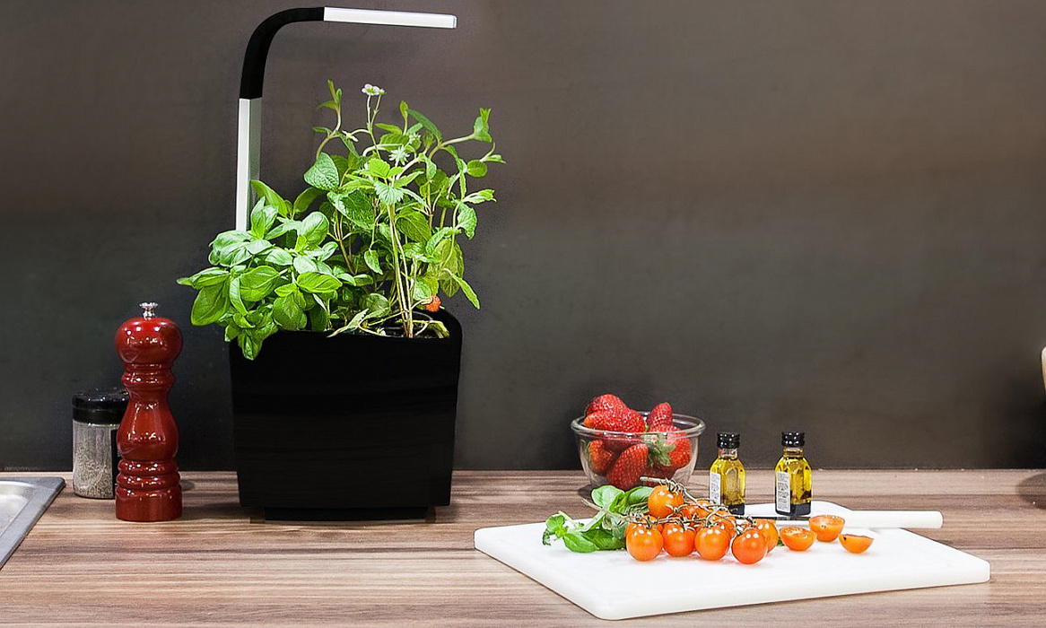Умный сад Tregren T3 Kitchen Garden (Black) купить в интернет-магазине icover