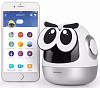 Радиоуправляемый робот Roobo Pudding S (PD001SRU) купить в интернет-магазине icover