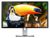 Монитор Dell P2815Q 28" 4K WLED купить в интернет-магазине icover