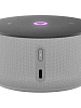 Умная колонка Яндекс Станция Мини 3 YNDX-00027 (Grey) купить в интернет-магазине icover