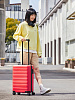 Чемодан Ninetygo Rhine Luggage 20 120105 (Red) купить в интернет-магазине icover