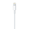 Кабель для iPhone, iPad Apple Lightning to USB Cable MD818Z/MA (White) купить в интернет-магазине icover